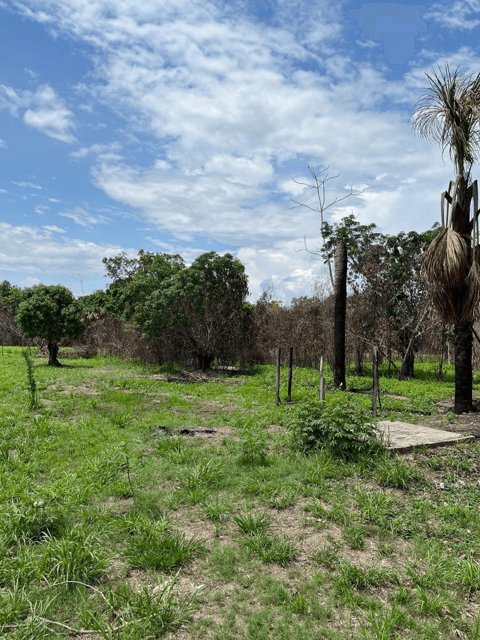 listing card gallery