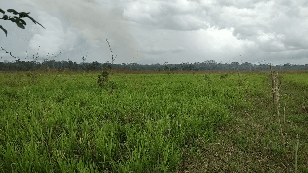 listing card gallery